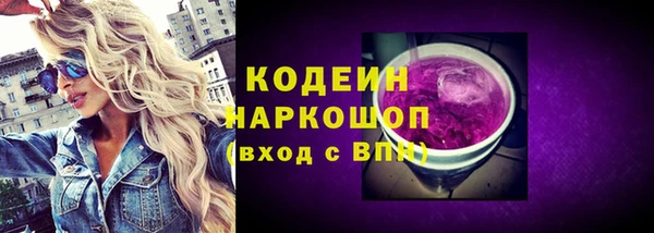 мдпв Ладушкин