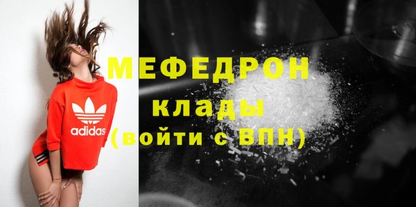 мдпв Ладушкин