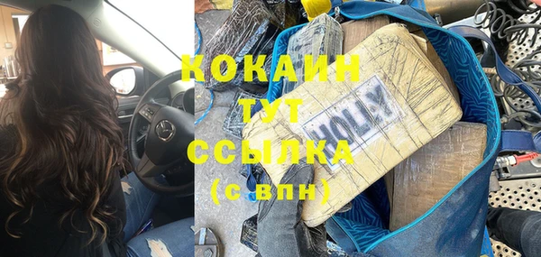 мдпв Ладушкин