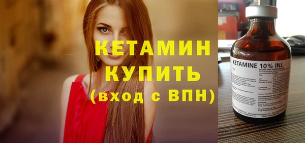 шишки Лабытнанги
