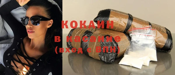 мдпв Ладушкин