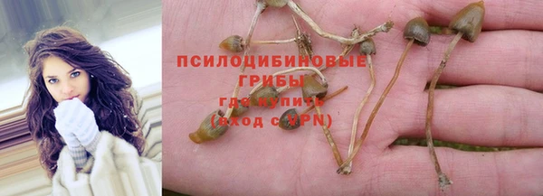 мдпв Ладушкин