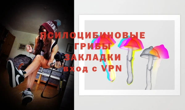 шишки Лабытнанги