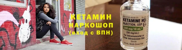 шишки Лабытнанги