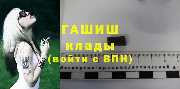 шишки Лабытнанги