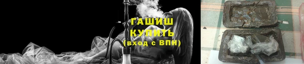 шишки Лабытнанги