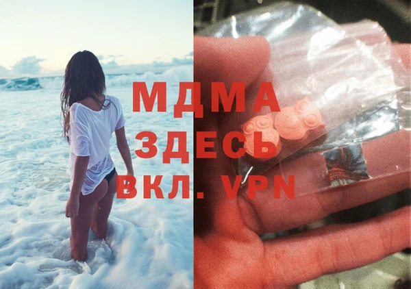 шишки Лабытнанги