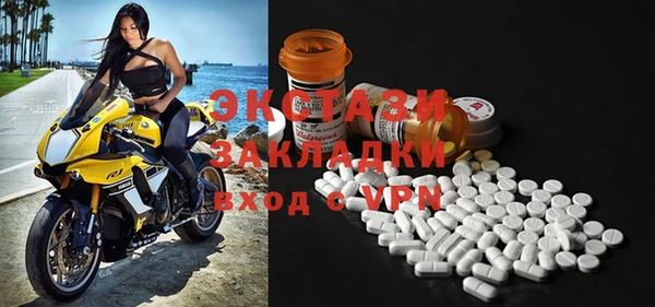 шишки Лабытнанги