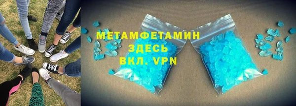 шишки Лабытнанги