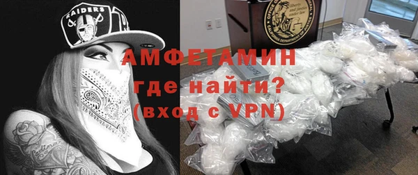 шишки Лабытнанги