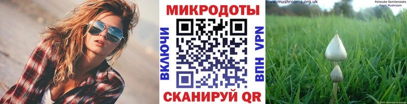 МЕГА ссылка  сайты даркнета состав  Галлюциногенные грибы MAGIC MUSHROOMS  Хадыженск 